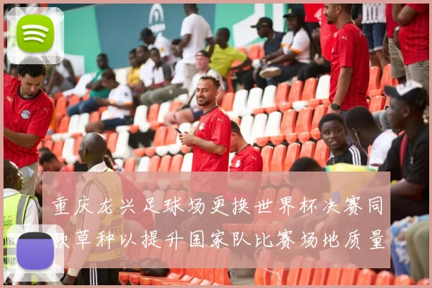 重庆龙兴足球场更换世界杯决赛同款草种以提升国家队比赛场地质量